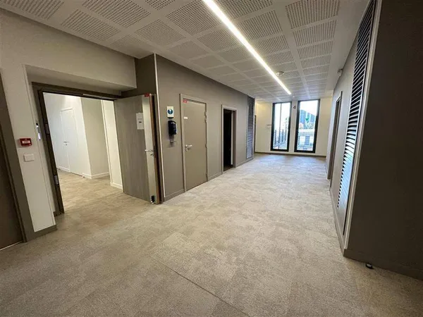 Bureau 262 m²