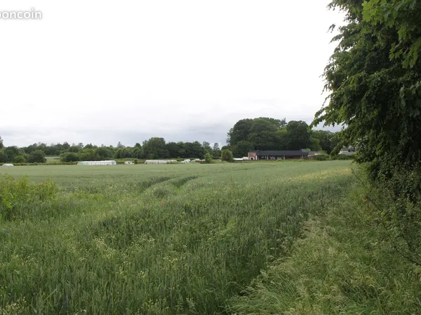 Forges les Eaux terrain à bâtir zone AU