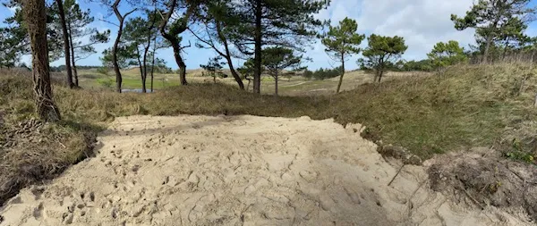vends propriété rare dans les dunes du touquet/golf de la mer avec possibilités : 4000 m2 de terrain