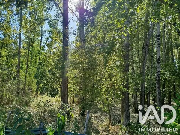 Terrain 11930 m²
