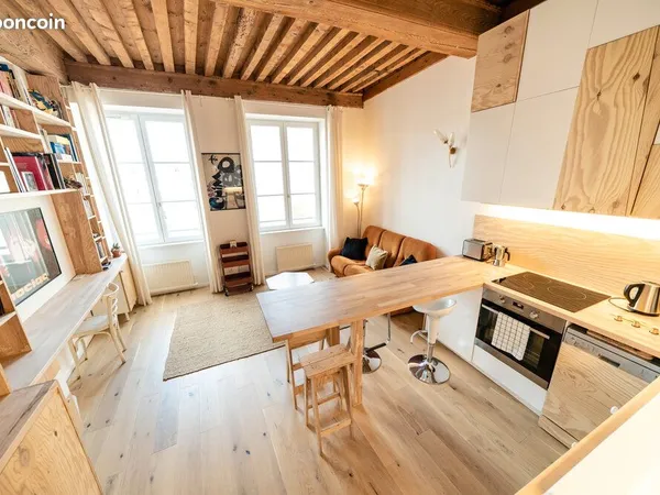 Beau T2 meublé et équipé de 38 m² - Lyon 3e