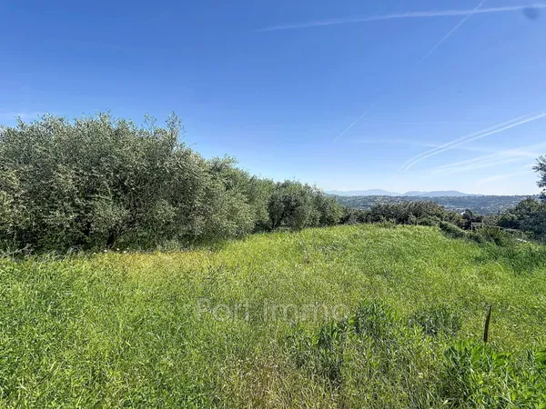 Vente terrain