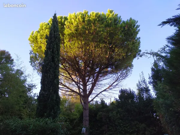 Location T2 45m2 avec parking - Saint-Michel