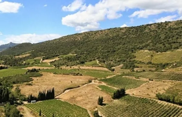 Terrain 584 m²