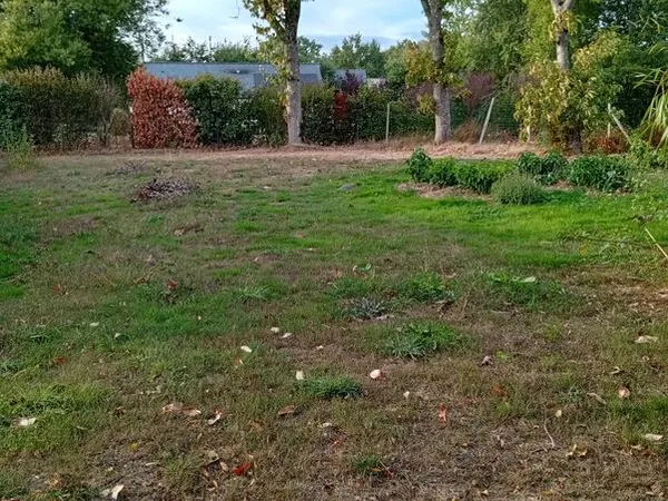 Terrain constructible