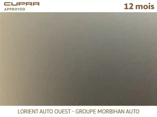 Cupra Formentor 1.4 e-hybrid 245 ch dsg6 — photo 18