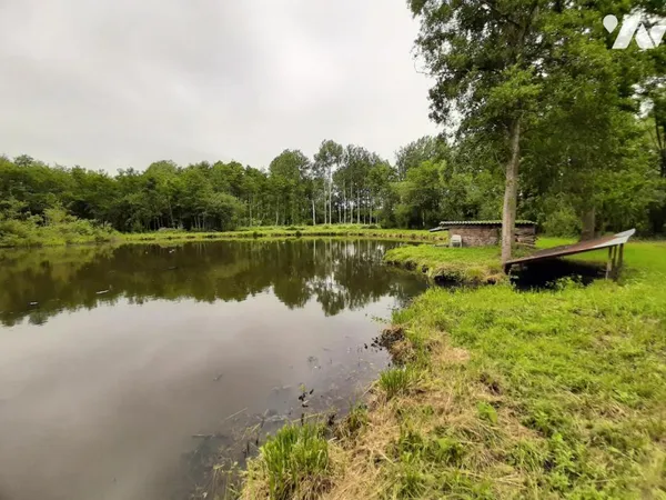 Terrain 5705 m²
