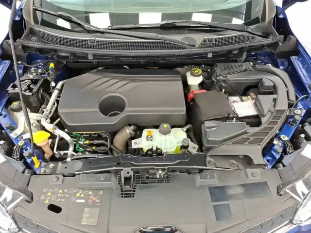 Renault Kadjar blue dci 115 — photo 13