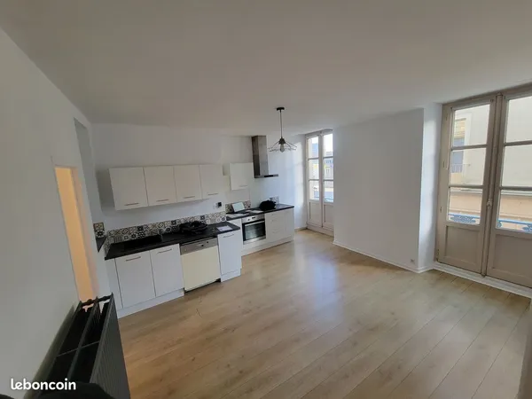 Grand T3 lumineux en centre ville