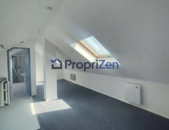 Appartement 1 pièce 20 m²