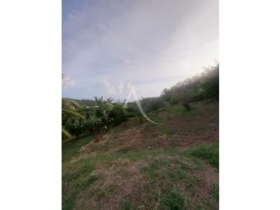 Terrain de 1491 m²