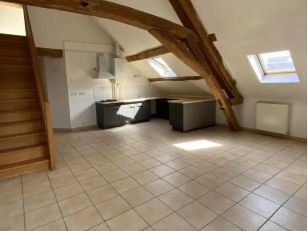Appartement 54m2 hypercentre de Sens