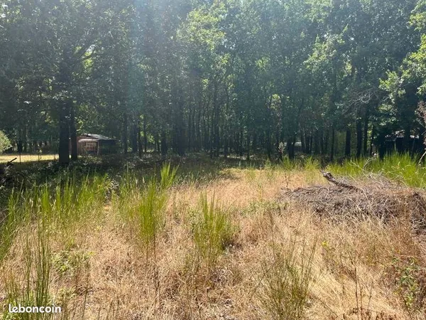 Terrain 2 855 m² Saint Vivien De Medoc