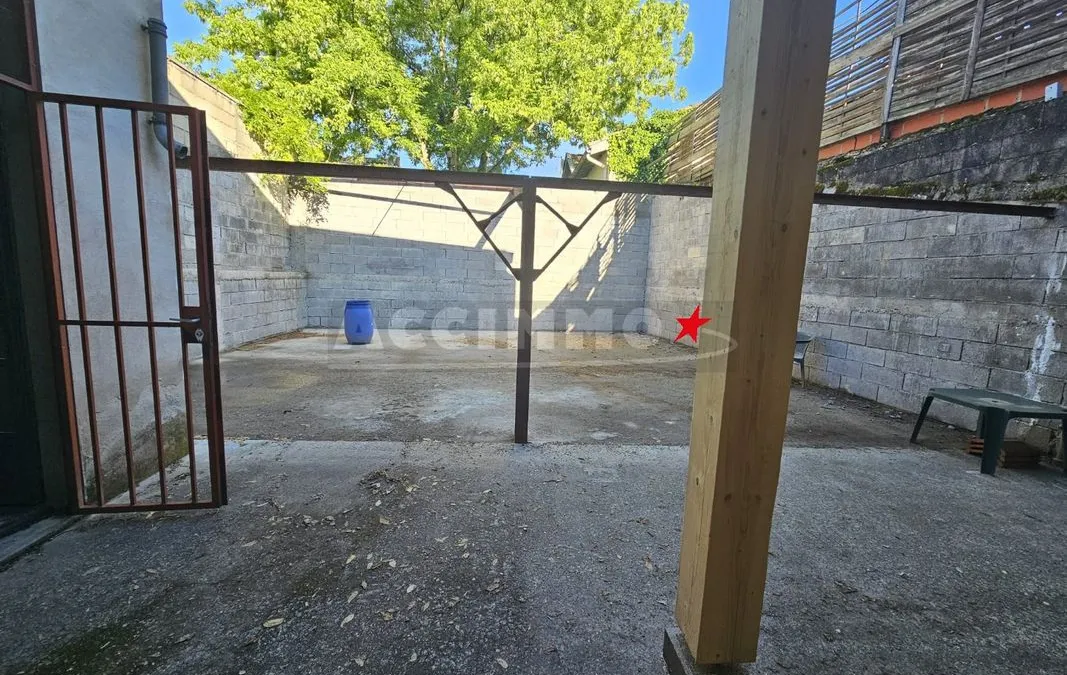 Photo 5