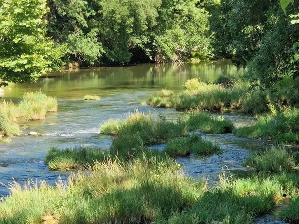 Terrain boisé 2500 m²