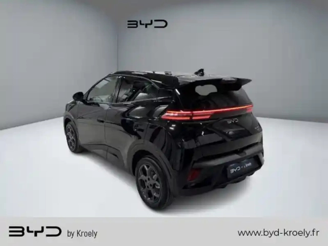Byd Dolphin surf comfort 115 kw — photo 3