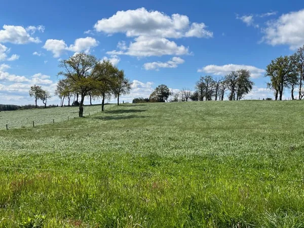 Terrain 1767 m²