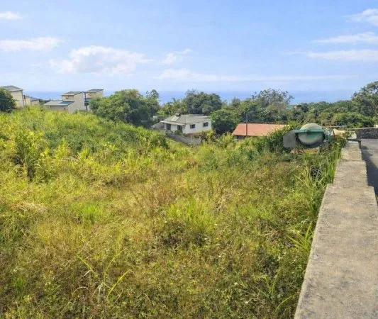 Terrain 320 m²