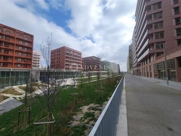 Local commercial 445 m²