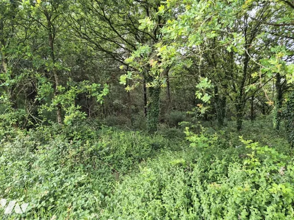 Terrain 12400 m²