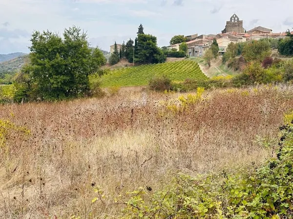 Terrain 10499 m²