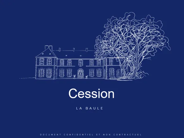 Vends château