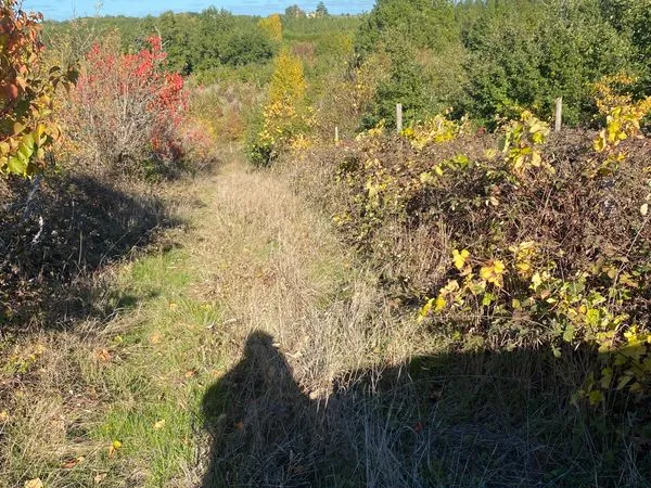 Terrain agricole
