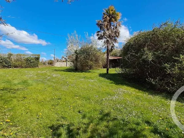 Terrain 1371 m²