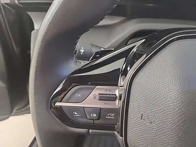 Peugeot 308 phev 180 e-eat8 — photo 20