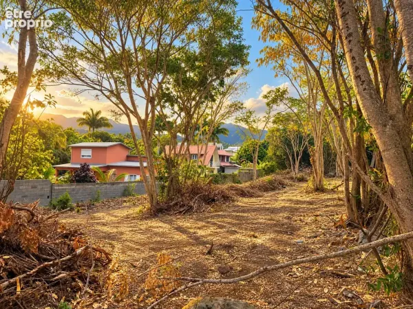 Terrain 325 m²