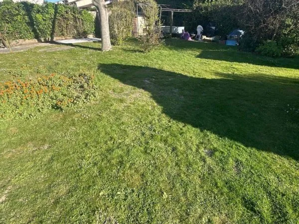 Terrain 471 m²