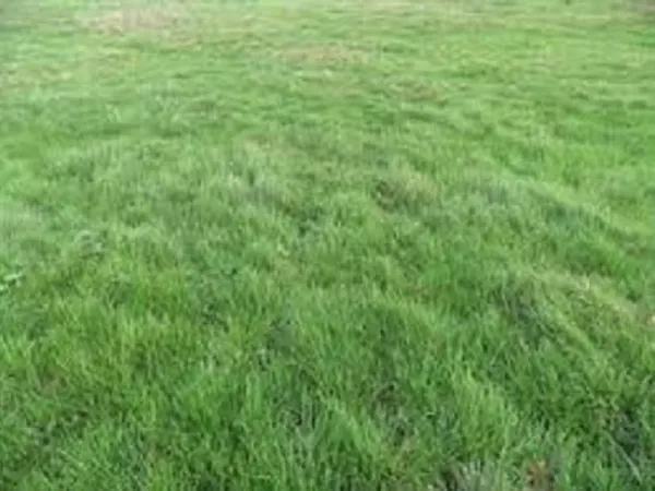Terrain 431 m²