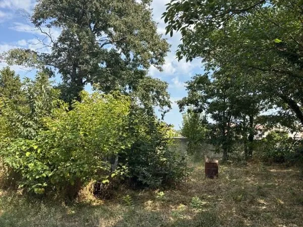 Terrain 585 m² Althen Des Paluds