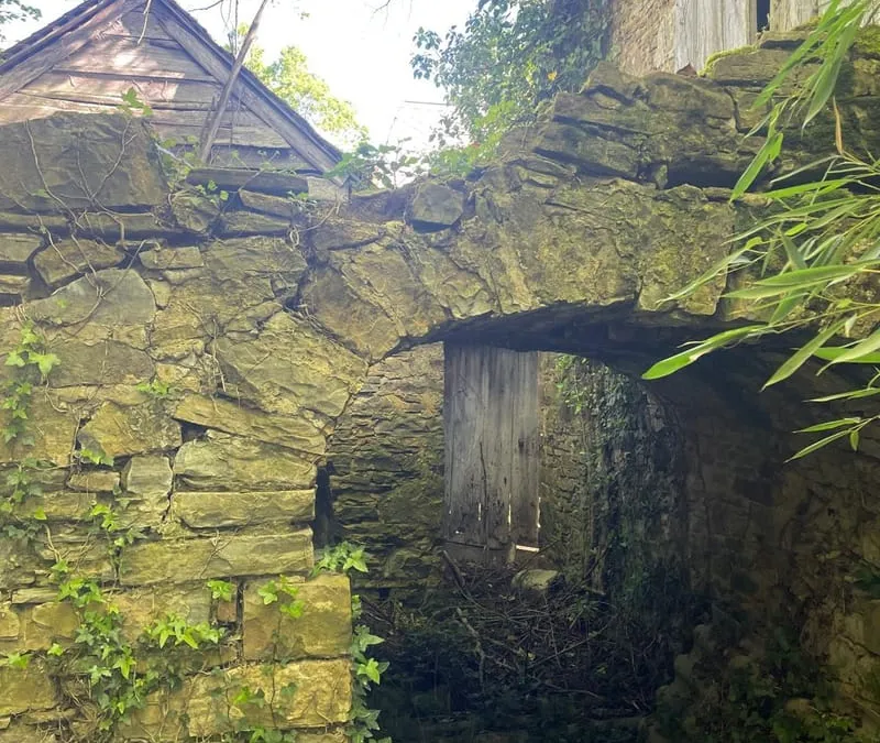 Photo 19