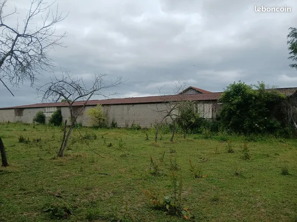Terrain constructible avec hangar