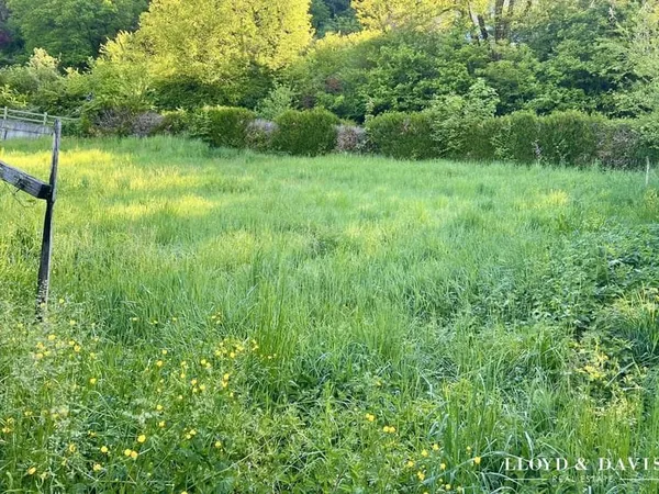 Terrain