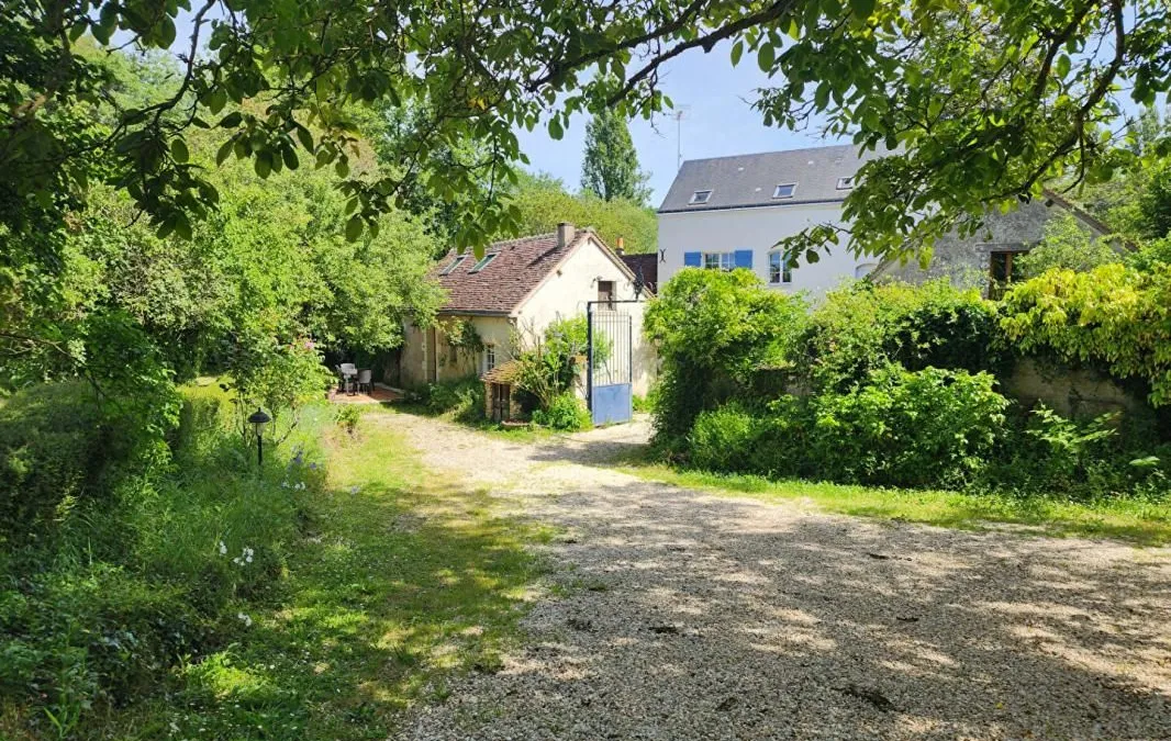 Photo 8