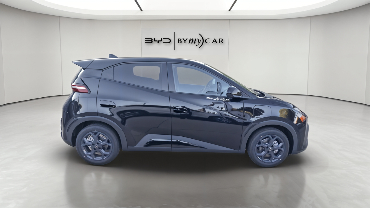 BYD Dolphin Surf 43.2 kWh 156 ch — photo 6