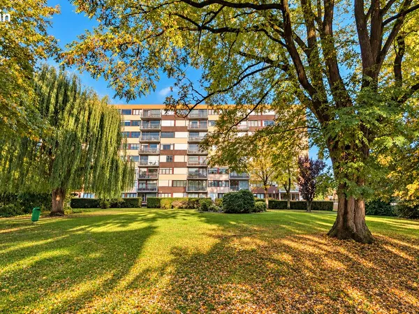 Appartement 3 pièces 85 m²