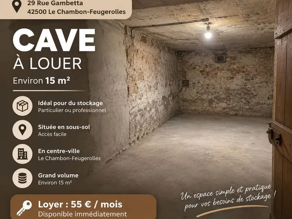 Cave / espace de stockage env. 15 m² - Le Chambon-Feugerolles centre