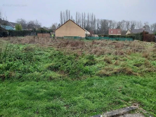 Terrain 980 m²