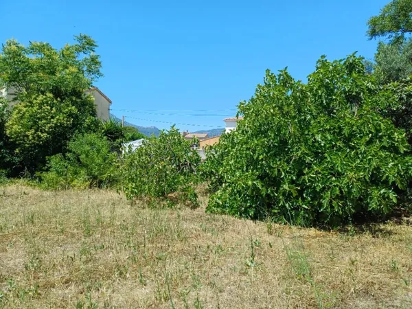 Terrain 407 m²