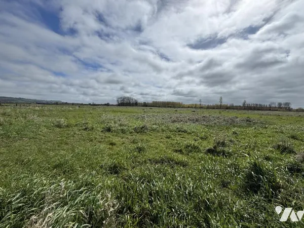 Terrain 195941 m²