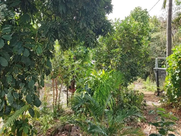 Terrain 400 m²