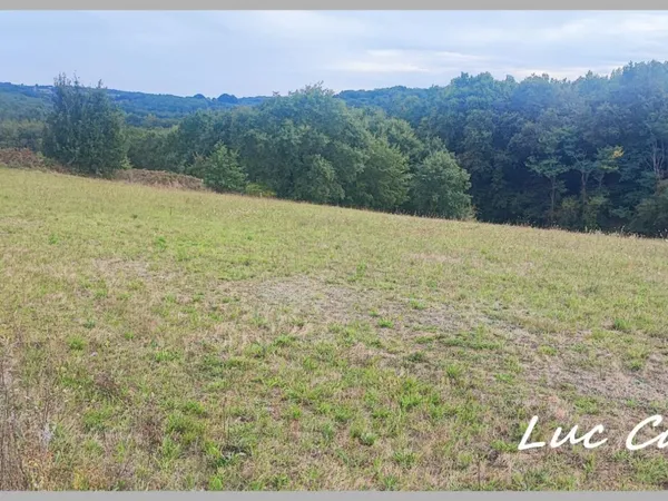À VENDRE - LE BORN (31) ✨ Terrain constructible de 1970 m² ✨ Prix : 40000 €