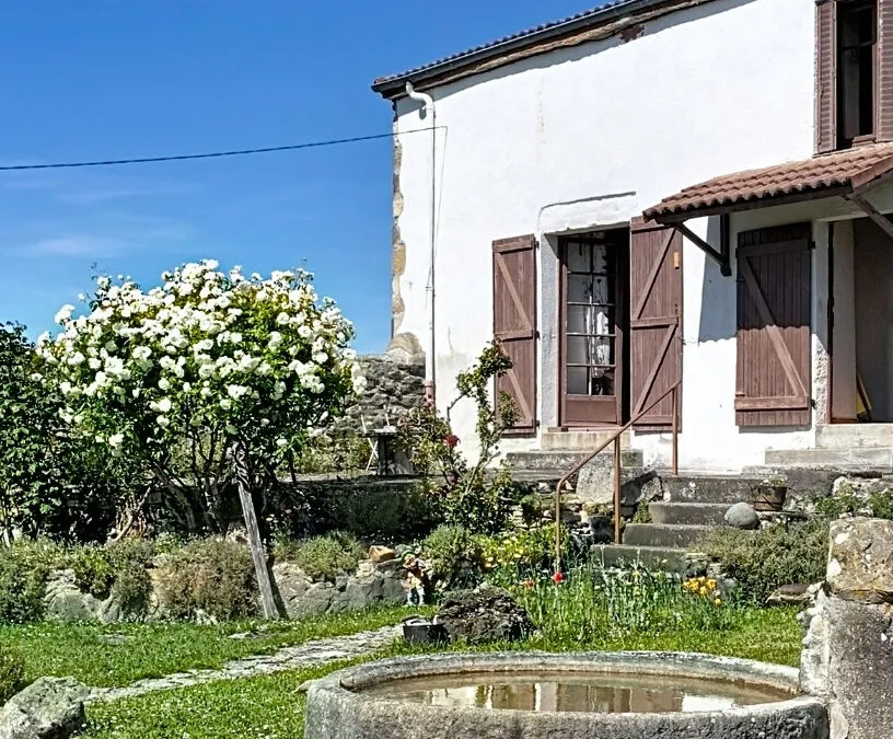 Photo 2
