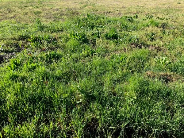 Terrain 890 m²