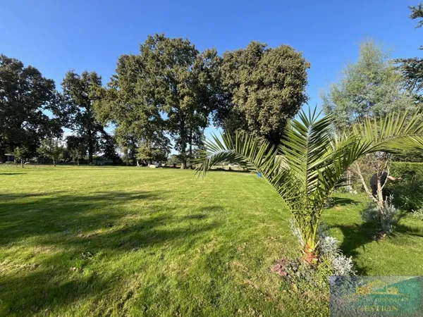 Terrain 2185 m²
