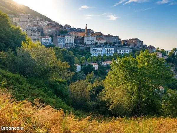 Terrain 1600 m² Prunete