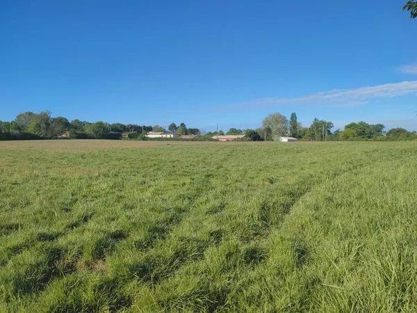 Terrain 206 m²